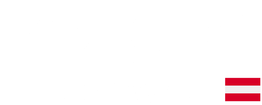 Baumgartner Reinigung Footer